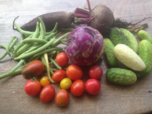 10505548_603611876404538_1496429277228035794_n