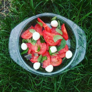 15328397_1273007006105584_677233178_n